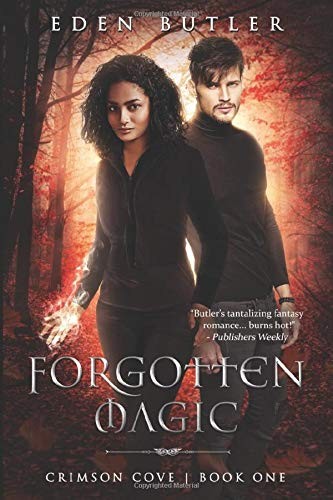 Cover for Forgotten Magic