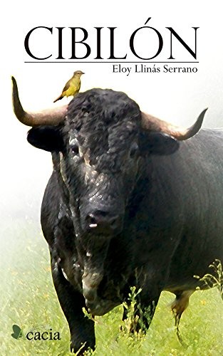 Cover for Cibilón