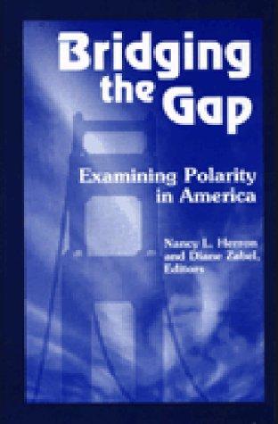 Cover for Bridging the gap