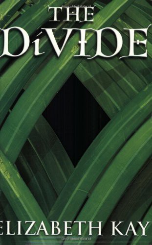 Cover for Divide