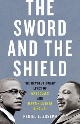 Cover for Sword and the Shield