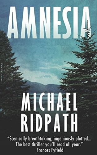 Cover for Amnesia