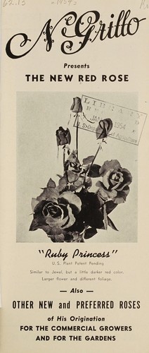 Cover for The new red rose, "ruby princess"