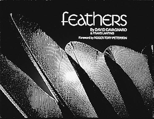 Cover for Feathers