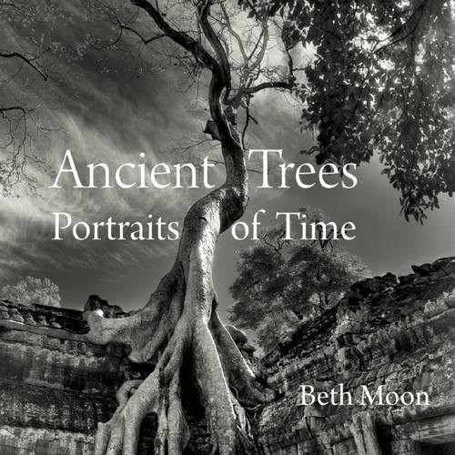 Cover for Ancient Trees: Portraits of Time