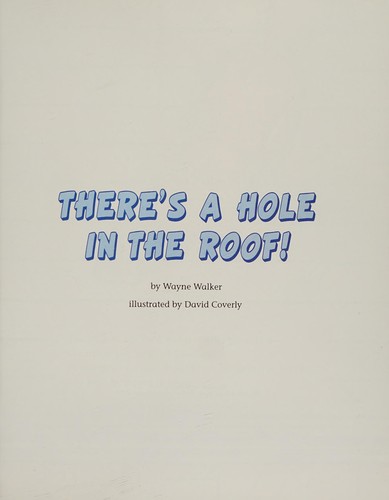 Cover for There's a hole in the roof!