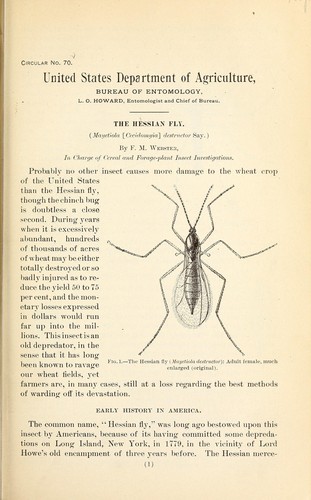 Cover for The hessian fly (Mayetiola (Cecidomyia) destructor Say.)