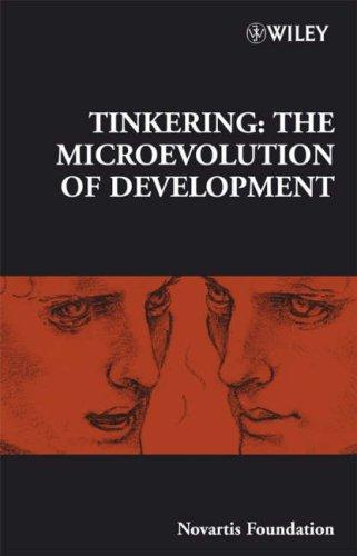 Cover for Tinkering