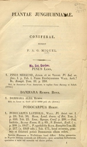 Cover for Plantae junghuhnianae