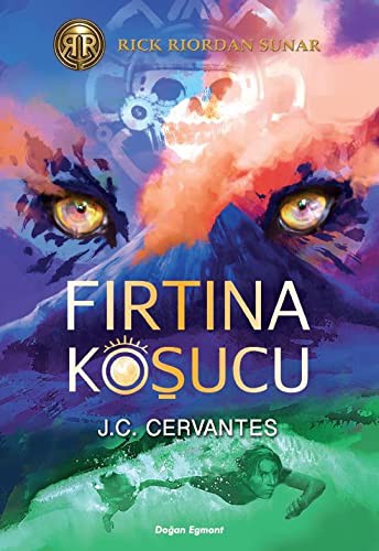 Cover for Fırtına Koşucu