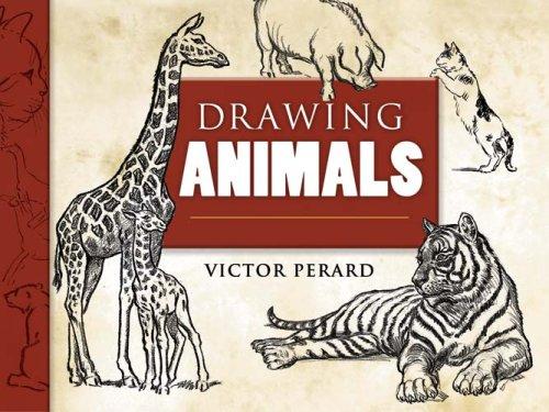 Cover for Drawing Animals