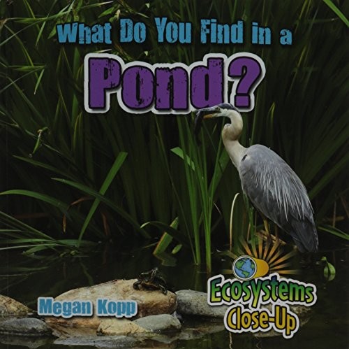 Cover for What Do You Find in a Pond? (Ecosystems Close-up)