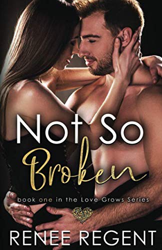 Cover for Not So Broken