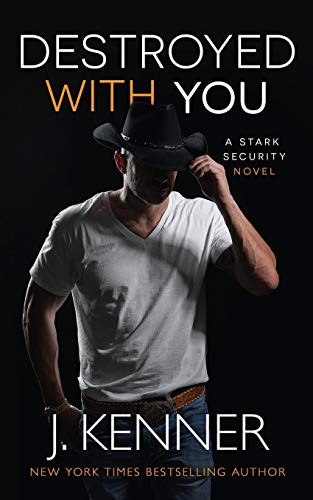 Cover for Destroyed With You
