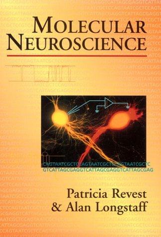 Cover for Molecular neuroscience