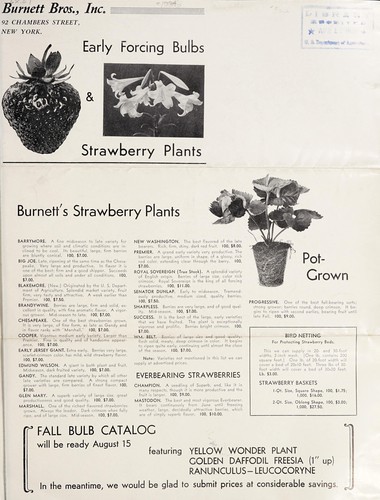 Cover for Early forcing bulbs & strawberry plants
