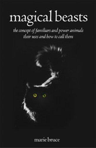Cover for Magical Beasts