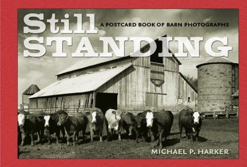 Cover for Still Standing