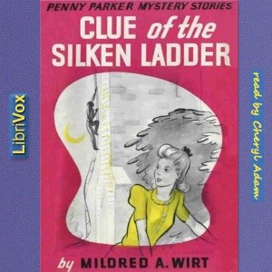 Cover for Clue of the Silken Ladder