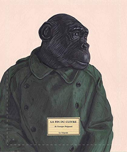 Cover for La fin du cuivre