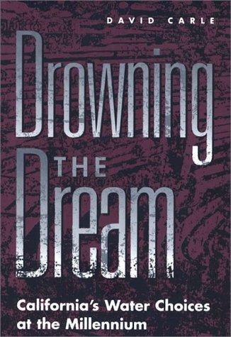 Cover for Drowning the Dream
