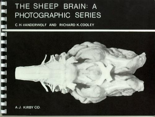 Cover for The Sheep Brain