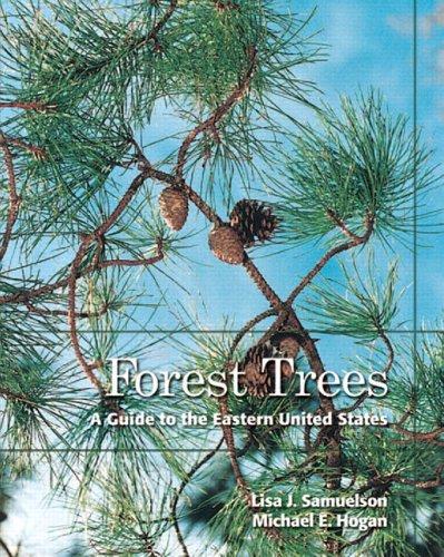 Cover for Forest Trees