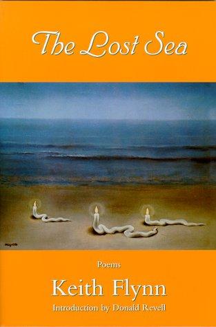 Cover for The lost sea