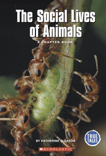 Cover for The Social Lives Of Animals