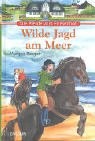 Cover for Die Pferde vom Friesenhof. Wilde Jagd am Meer.