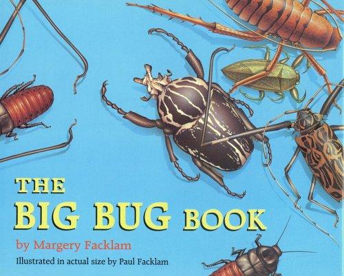 Cover for The big bug book