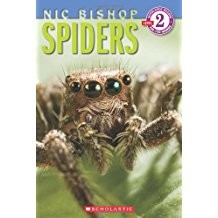 Cover for Spiders