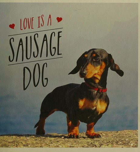 Cover for Love is a sausage dog