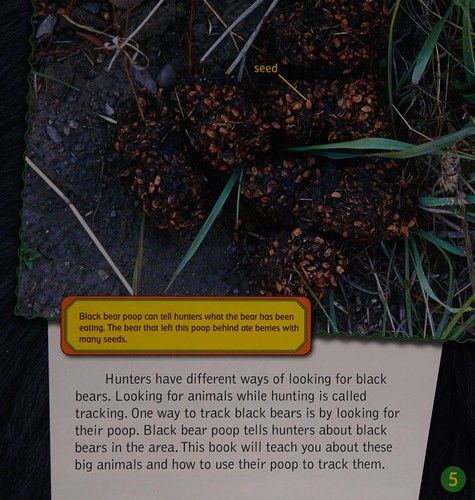Cover for How to track a black bear