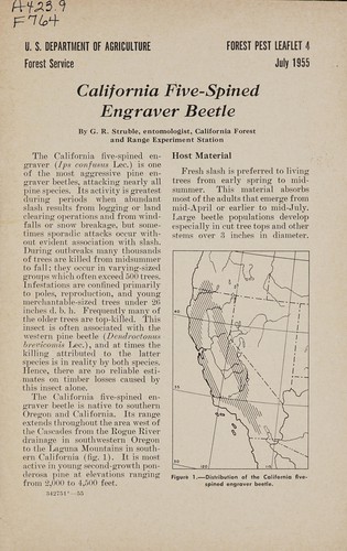 Cover for California five-spined engraver beetle