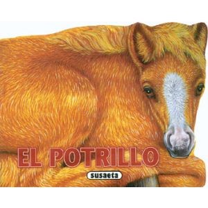 Cover for El potrillo