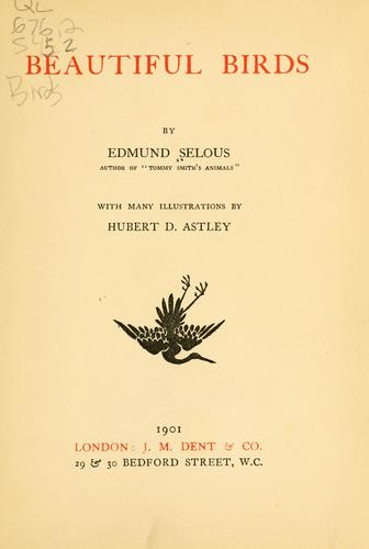 Cover for Beautiful birds