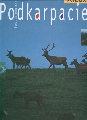 Cover for In the borderland of cultures