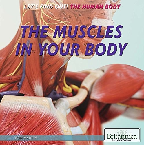 Cover for The Muscles in Your Body