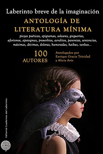 Cover for Laberinto breve de la imaginación