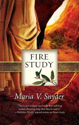 Cover for Fire Study