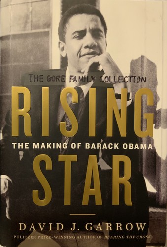 Cover for Rising Star:The Making of Barack Obama
