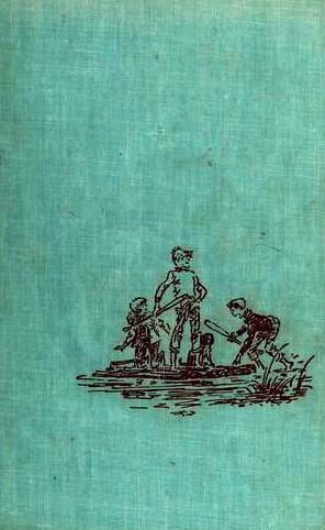 Cover for The secret raft
