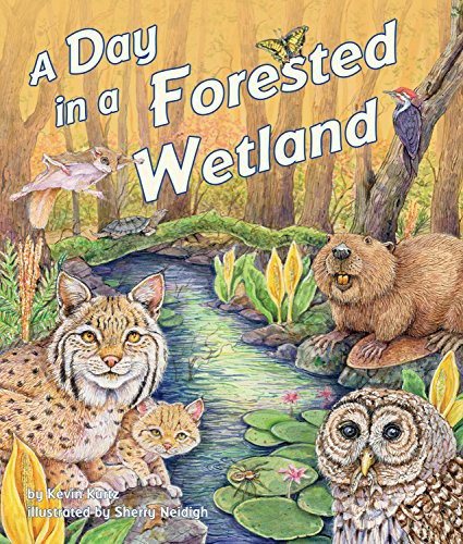 Cover for A Day in a Forested Wetland