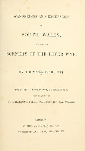 Cover for Wanderings and excursions in South Wales