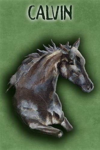 Cover for Watercolor Mustang Calvin