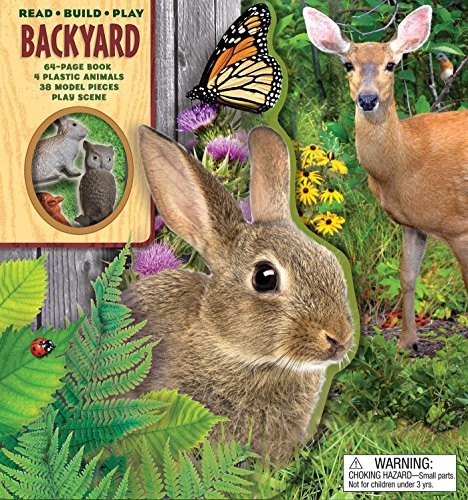 Cover for Read Build Play
