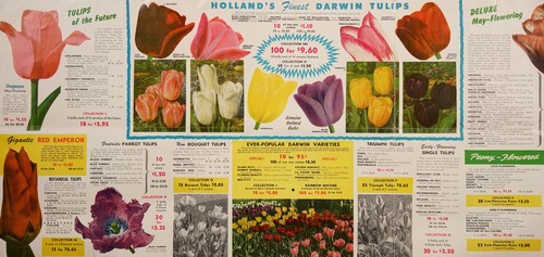 Cover for Planting guide, Holland bulbs 1956