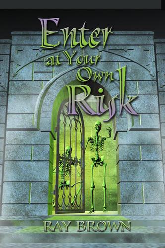 Cover for Enter At Your Own Risk