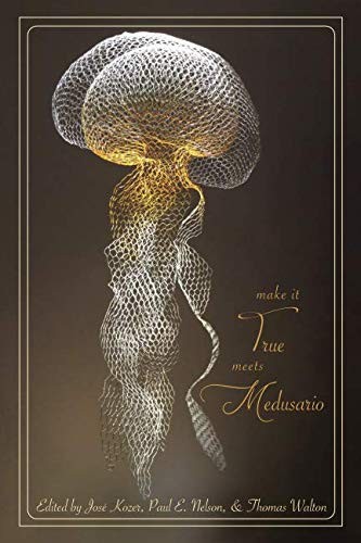 Cover for Make It True Meets Medusario
